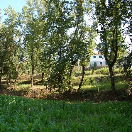Casa Do Rochado - Fundo Do Lugar Amarante
